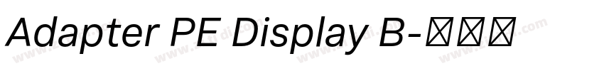Adapter PE Display B字体转换